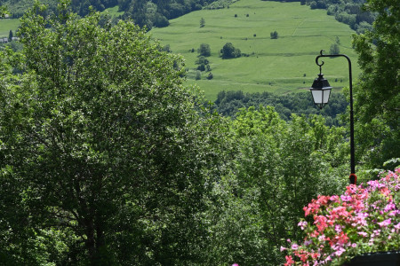 Forests and Fields