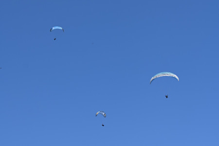 Who can fly the highest