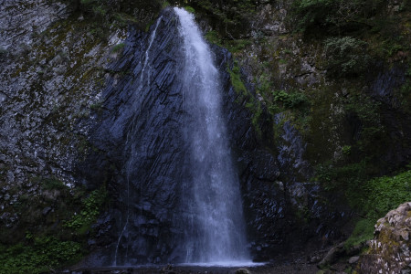 AUVERGNE CR 0626;