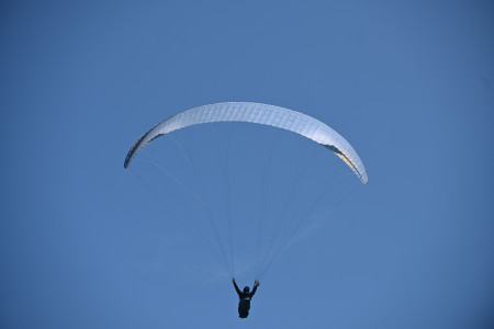 Free as a Bird