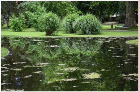 Wonderfully relaxing Westfriehof park