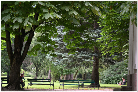 Wonderfully relaxing Westfriehof park