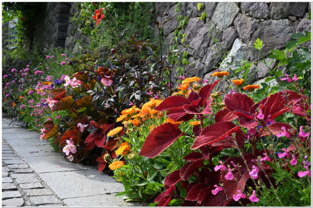 Trauttmansdorff garden