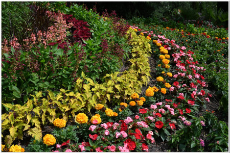 Trauttmansdorff garden