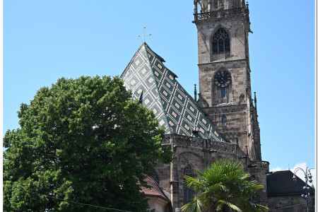 The Cathedral