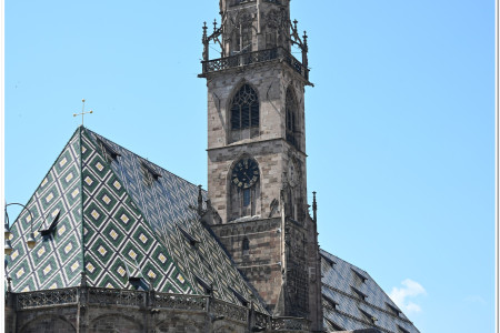 The Cathedral