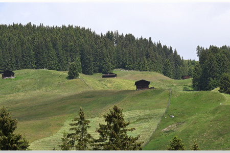 Rolling hillsides