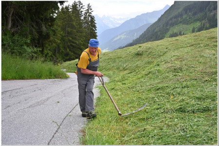 Austrian farmer using a traditional wooden scythe to cut a meadow field