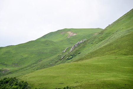 Majestic hills