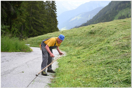 Austrian farmer using a traditional wooden scythe to cut a meadow field